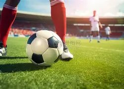 倡导全民节,约粮食,抵制浪费蔚,开云,KaiYun,开云注册网址,开云app,开云官网,开云网站,开云下载