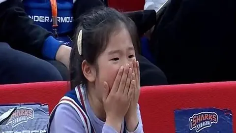 kaiyun·开云（中国）